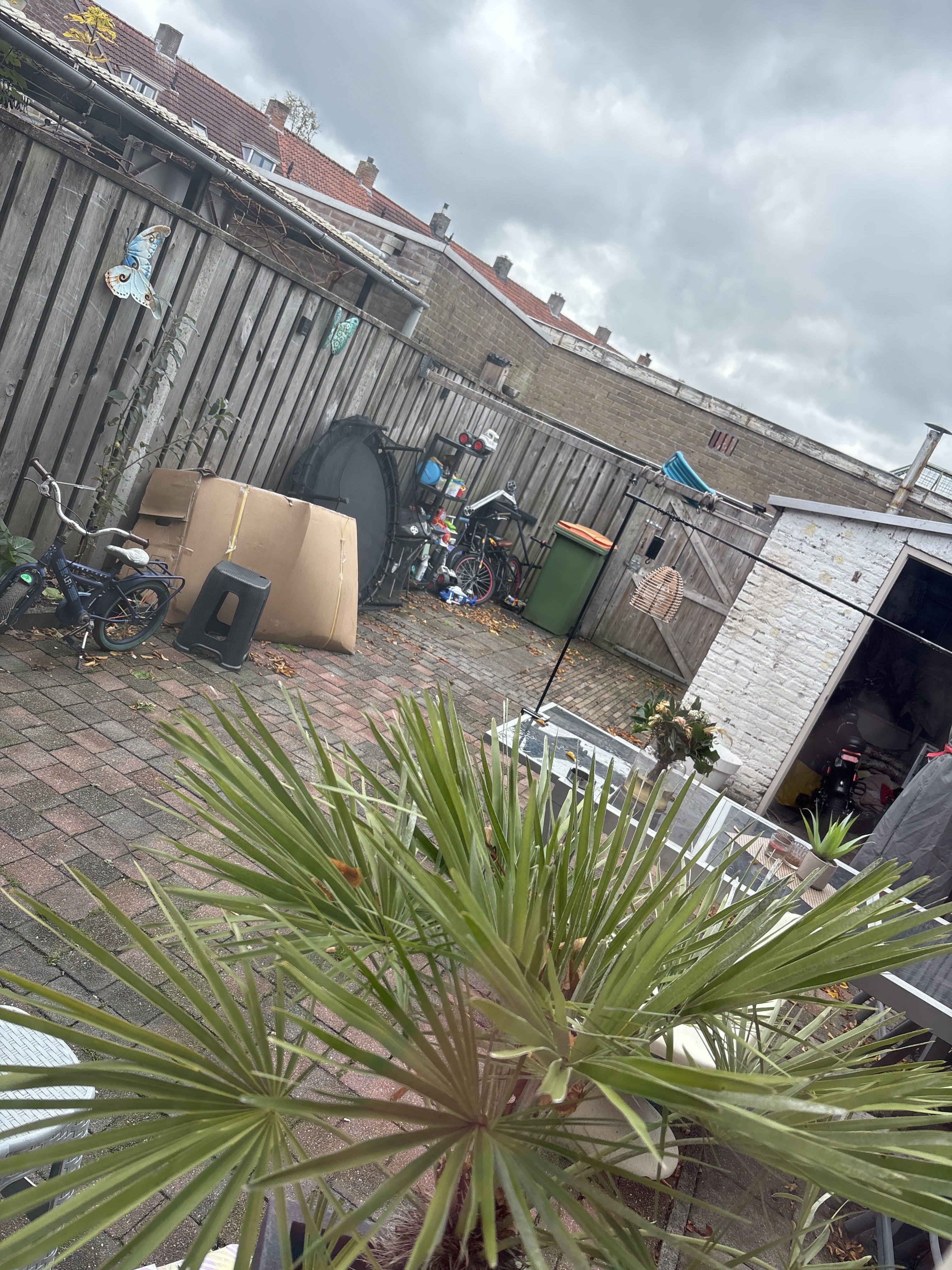 Doctor Ariënsplein 43, 4812 PL Breda, Nederland