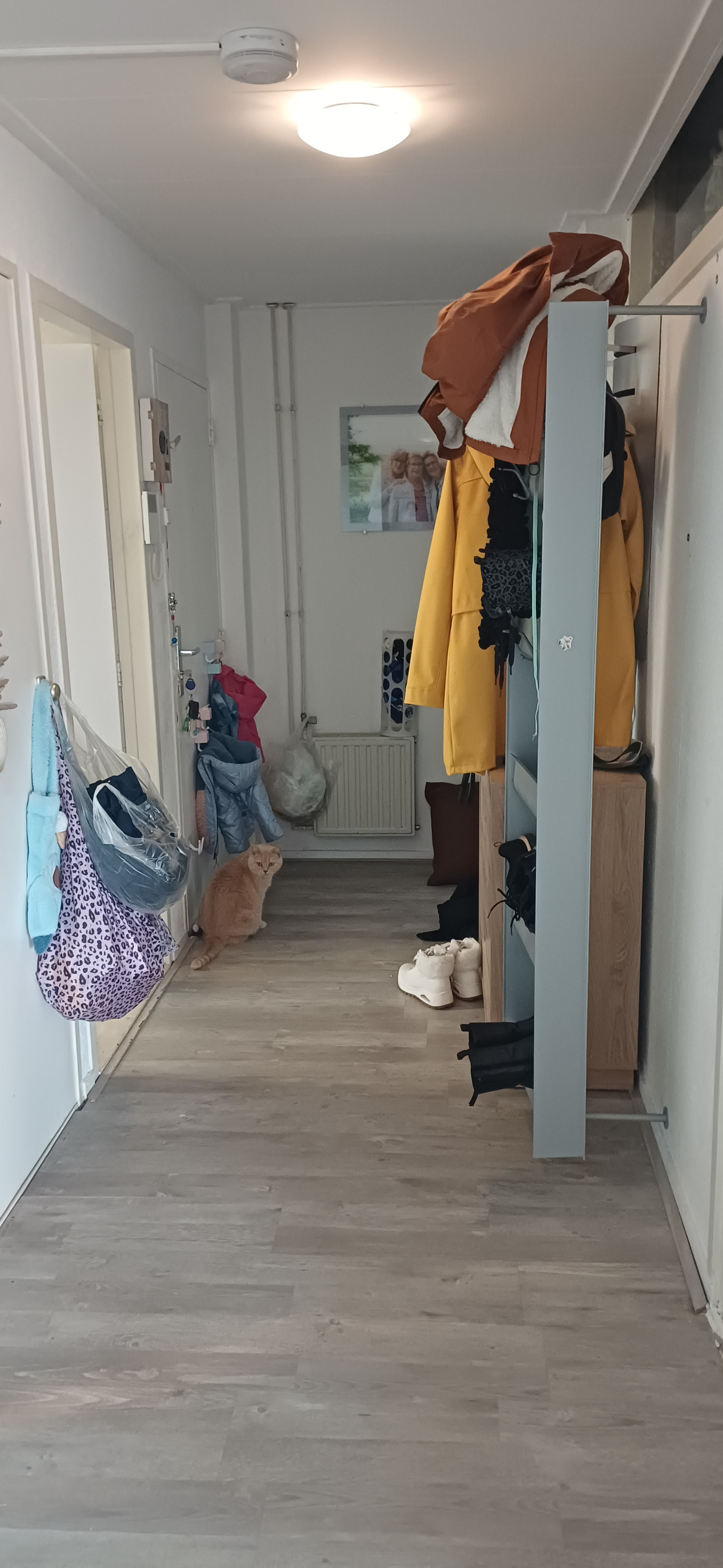 Jan Vermeerlaan 193B