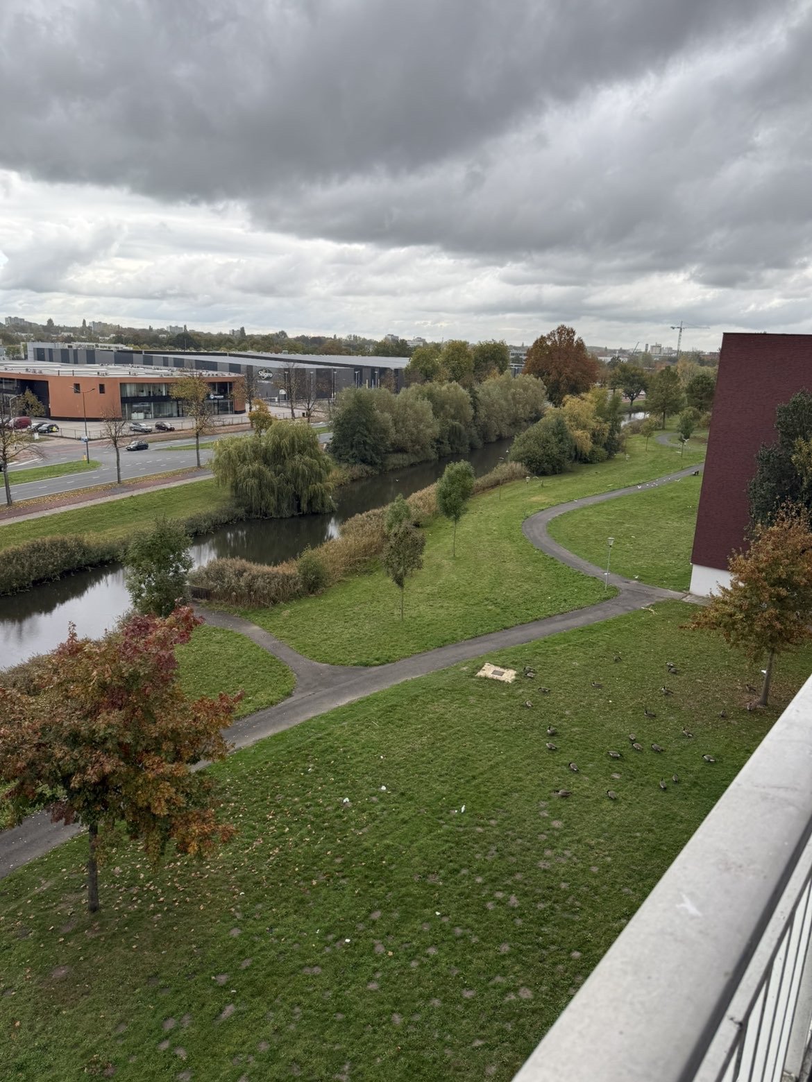 Daniël Marotstraat 88