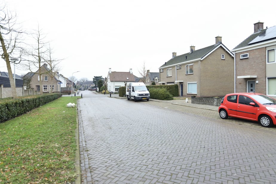 Nicolaas Maesstraat 3