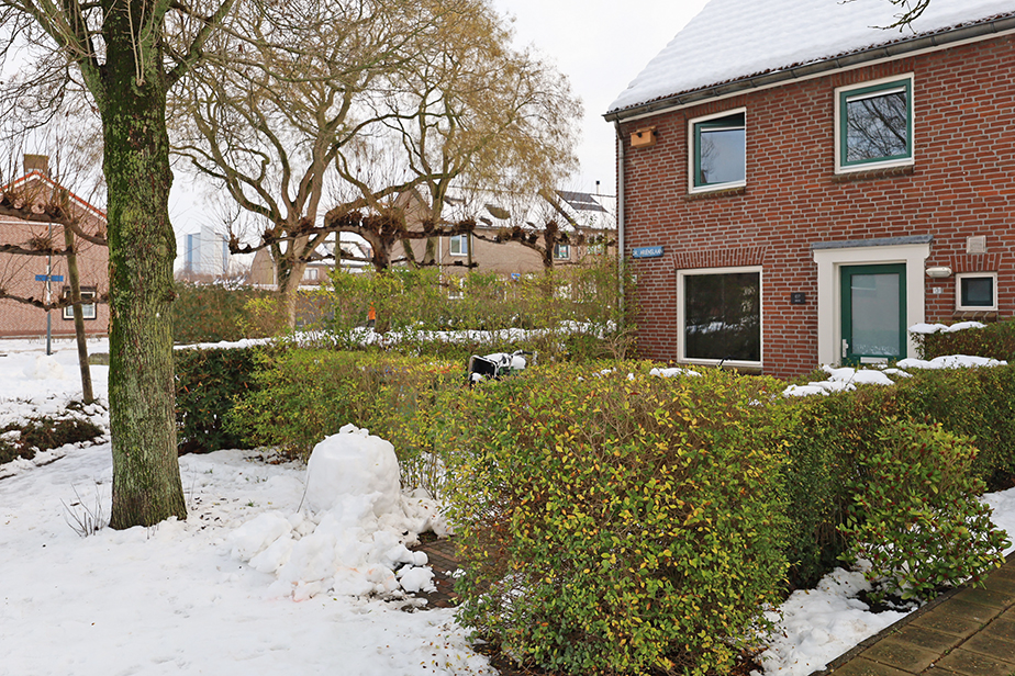 Doctor Ariënslaan 107