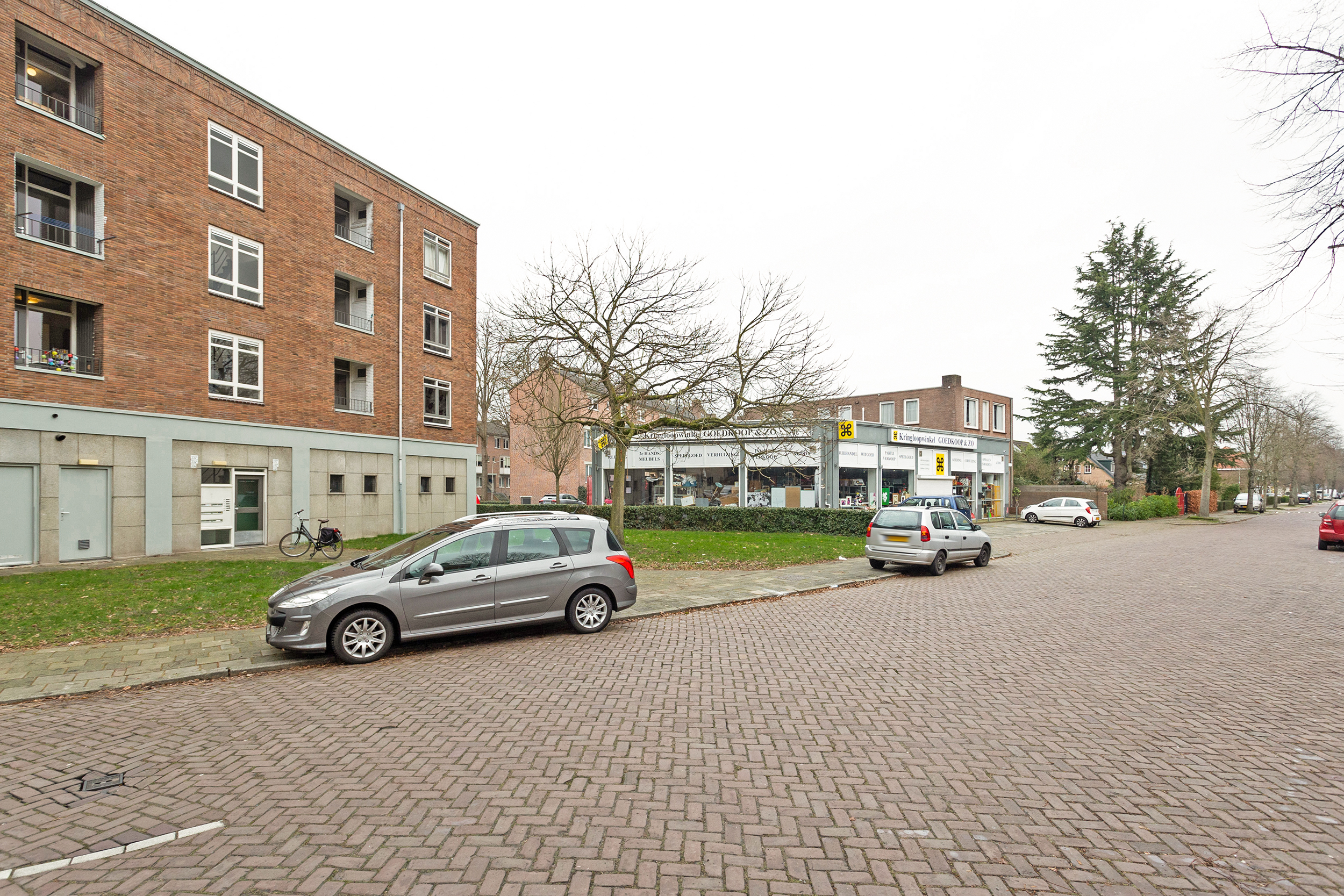 Oranjeboomstraat 332B