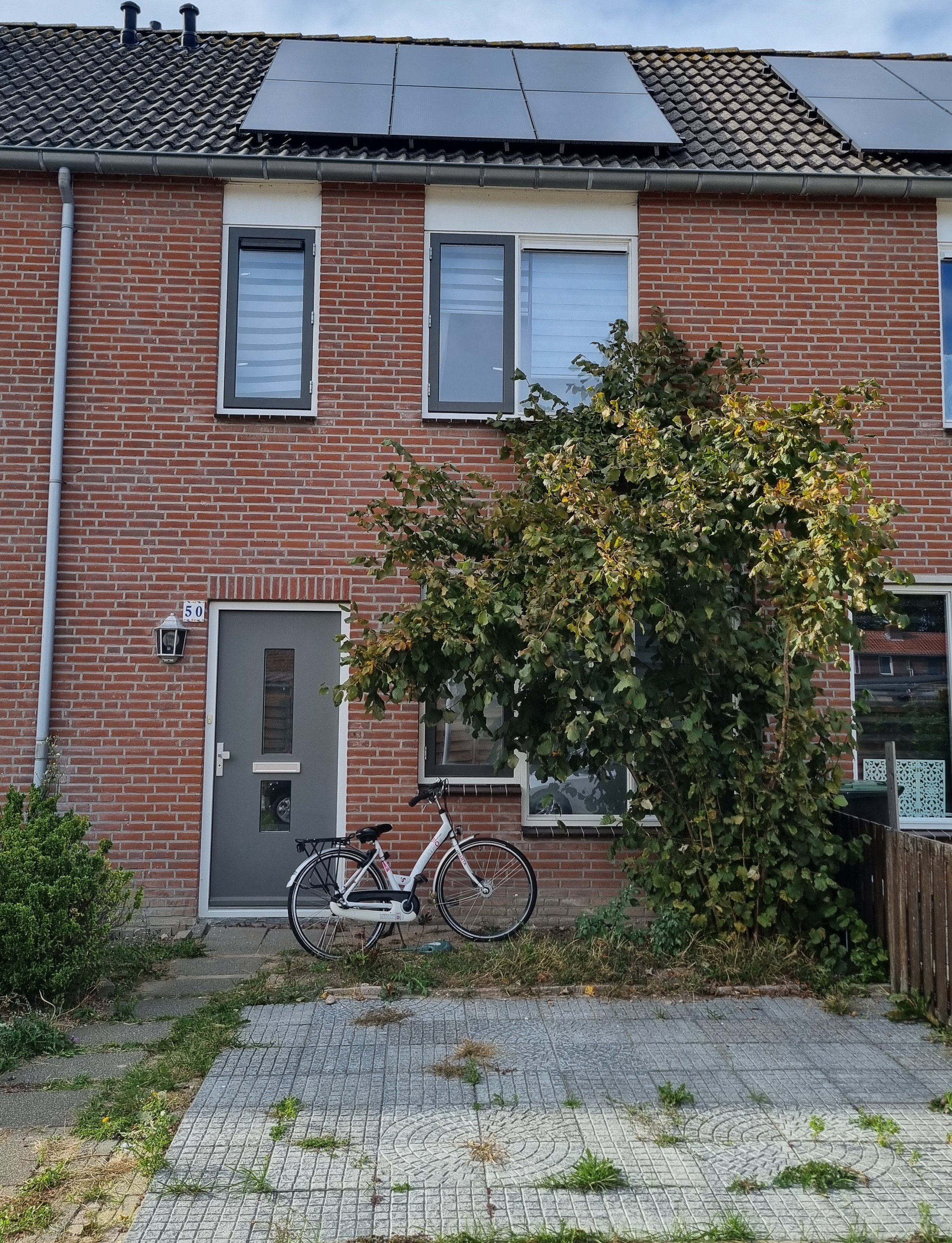 Griendwerkerstraat 50, 4926 HA Lage Zwaluwe, Nederland