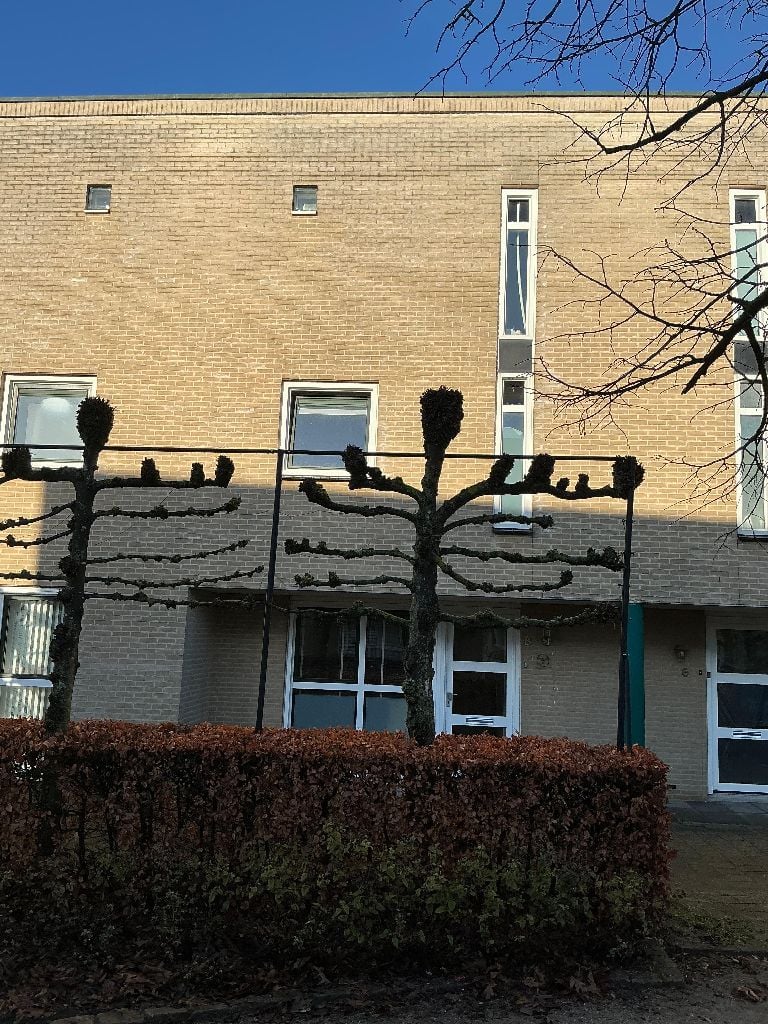 Omloop 8, 4873 DR Etten-Leur, Nederland