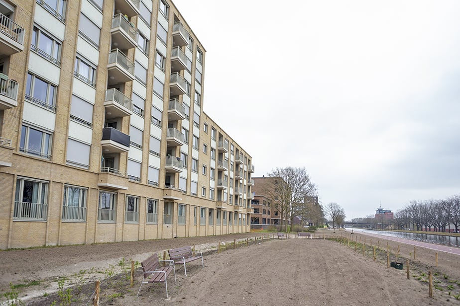 Pieter Vreedestraat 50