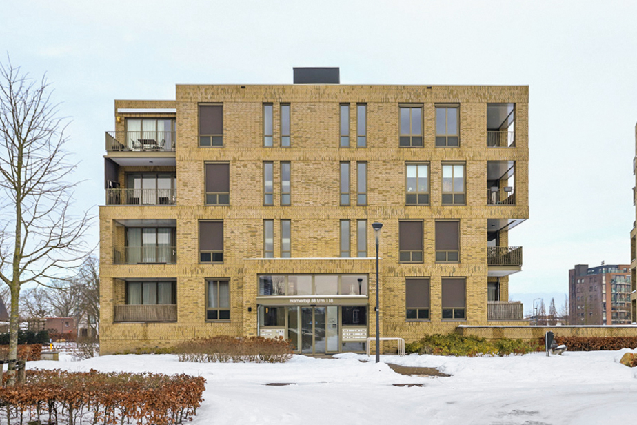 Hamerbijl 98, 4906 LJ Den Hout, Nederland