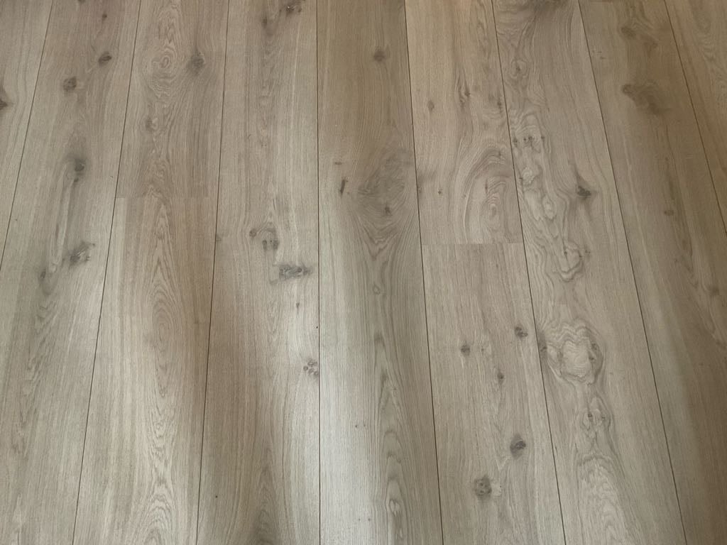 Marinus de Jongstraat 1B