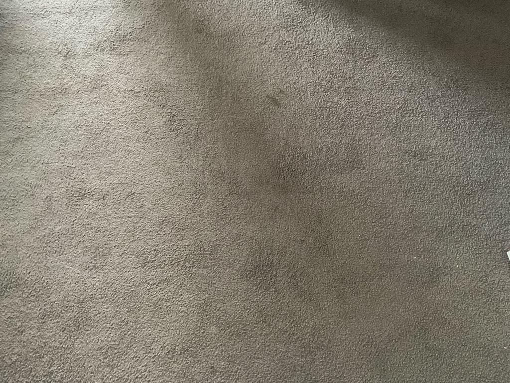 Marinus de Jongstraat 1B