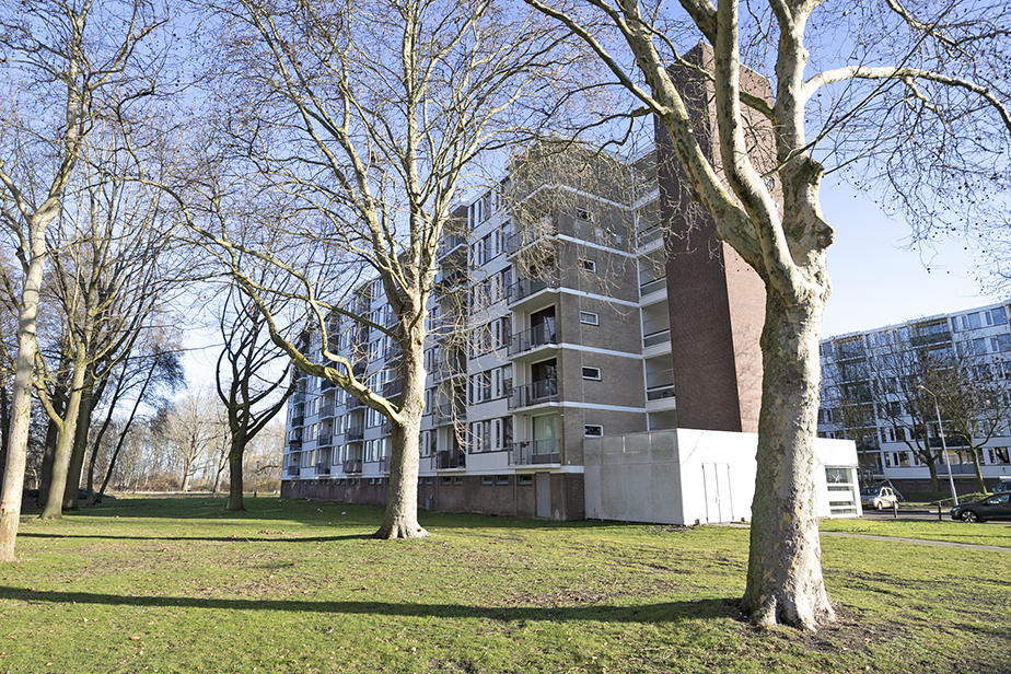 Wensel Cobergherstraat 241, 4827 BC Breda, Nederland