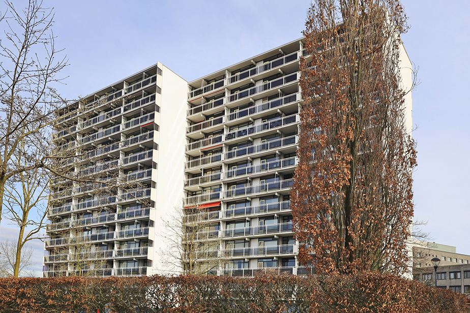 Bergschot 570