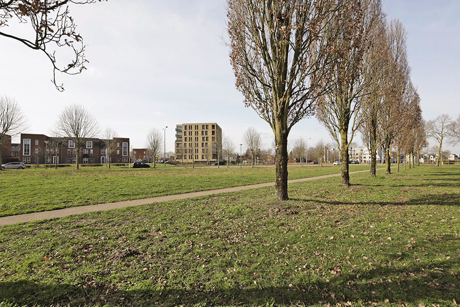 Pieter Stastokstraat 57