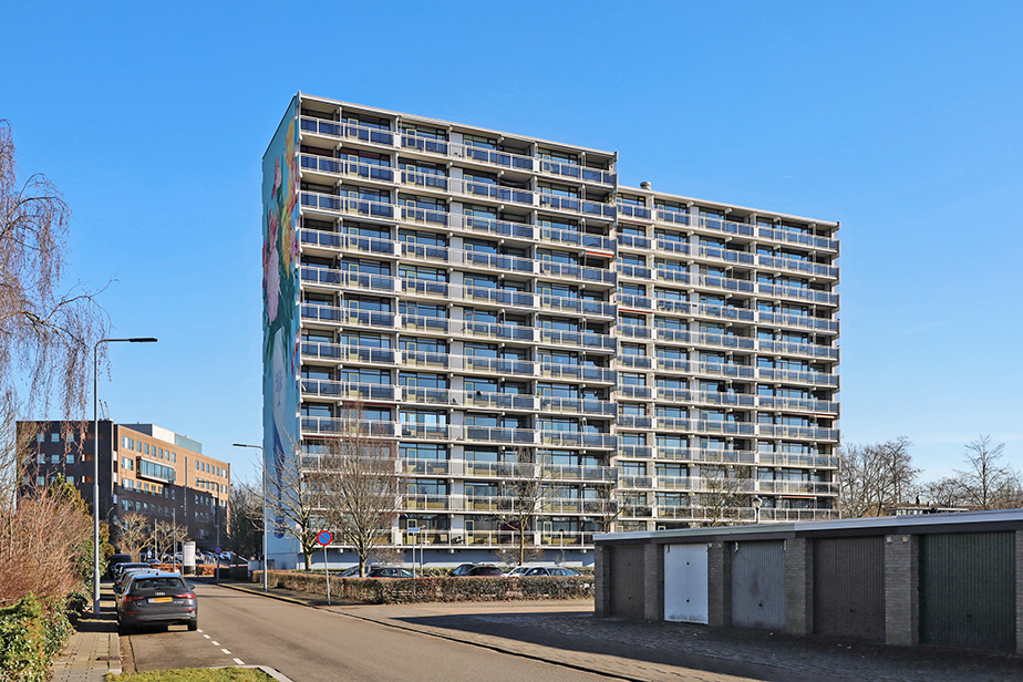 Bergschot 488