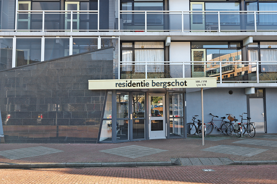 Bergschot 488