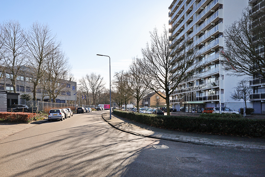 Bergschot 488