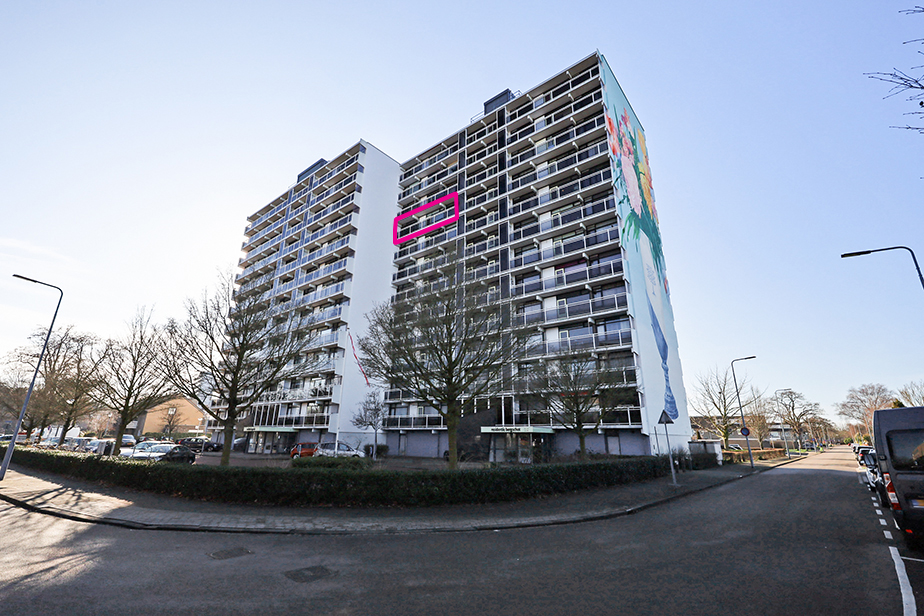 Bergschot 488, 4817 PJ Breda, Nederland