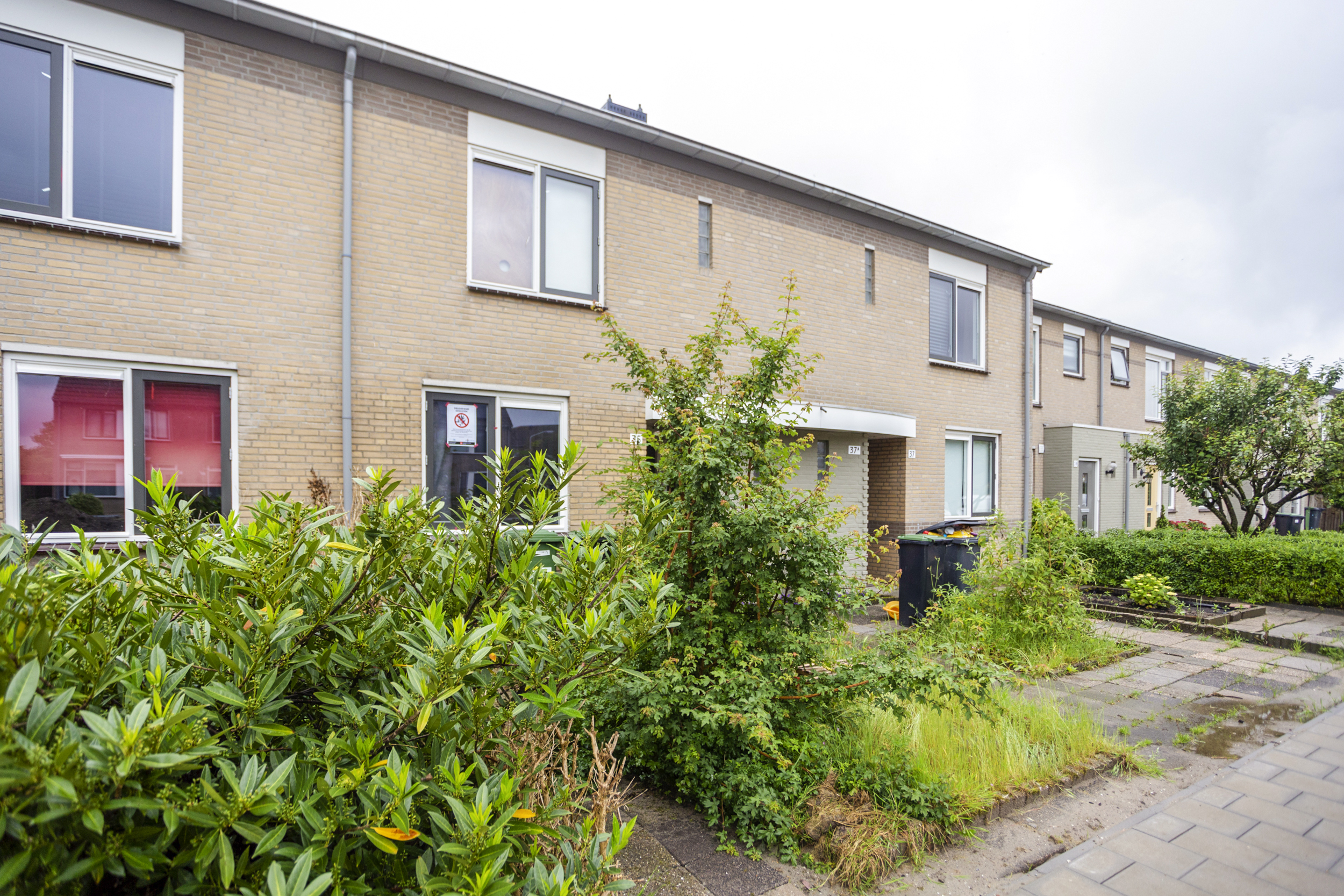 Griendwerkerstraat 35