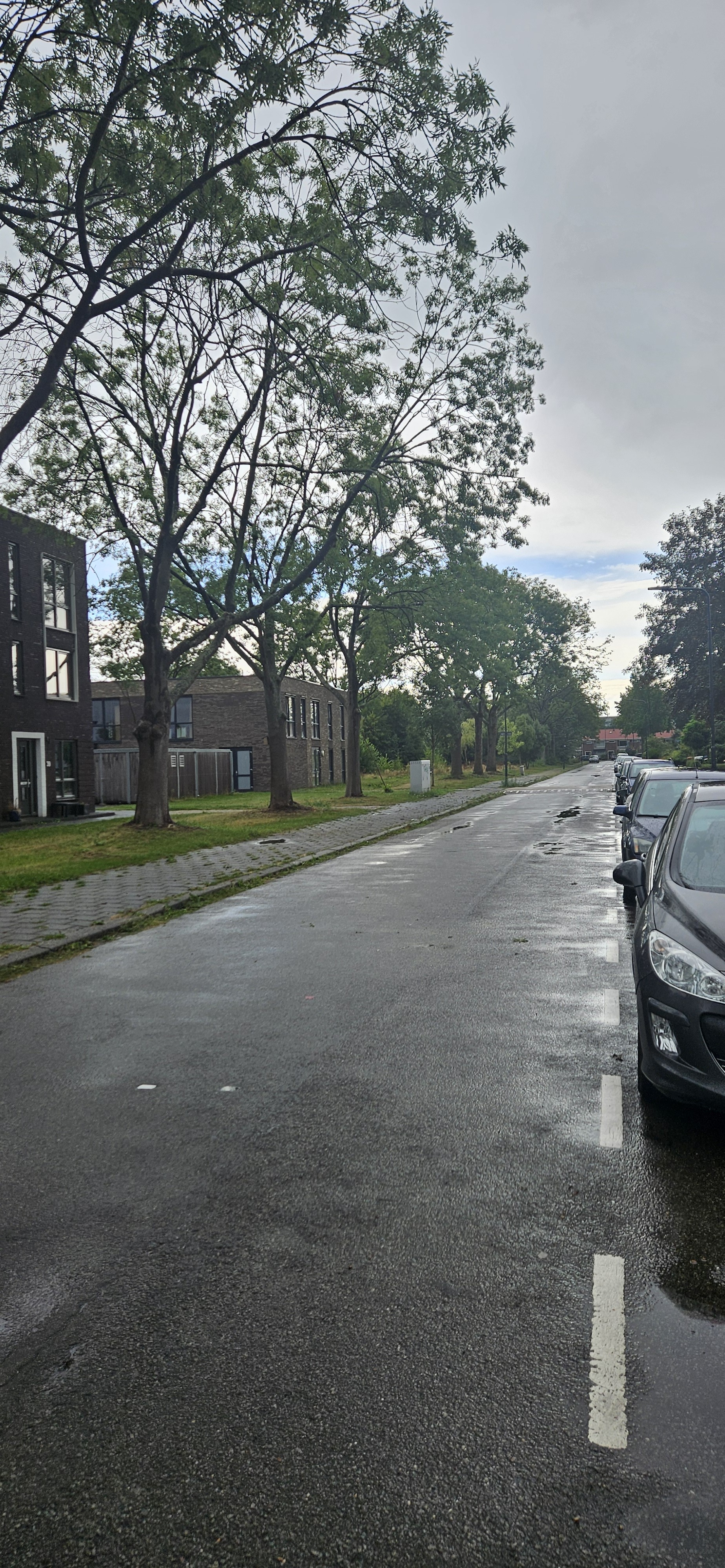 Petegemstraat 67