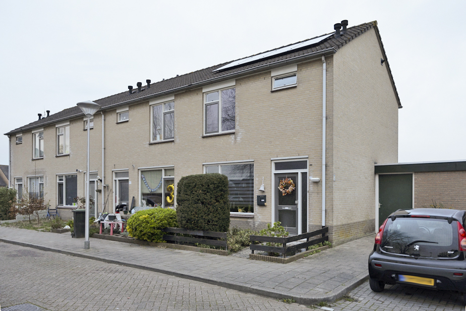 Van Oldenbarneveltstraat 47, 4671 CZ Dinteloord, Nederland
