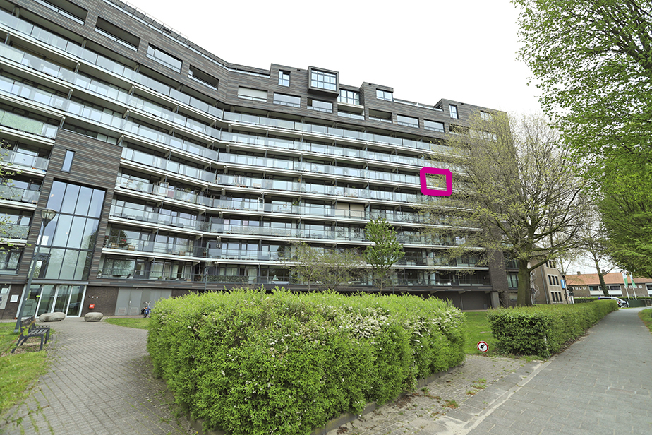 Zorgvlietstraat 205, 4834 NB Breda, Nederland