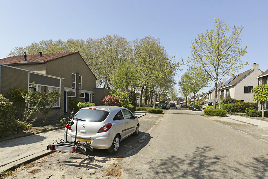 Kamillestraat 20