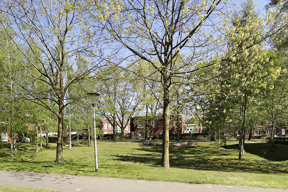 Pels Rijckenpark 51