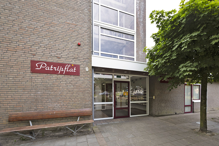 Patrijsflat 33