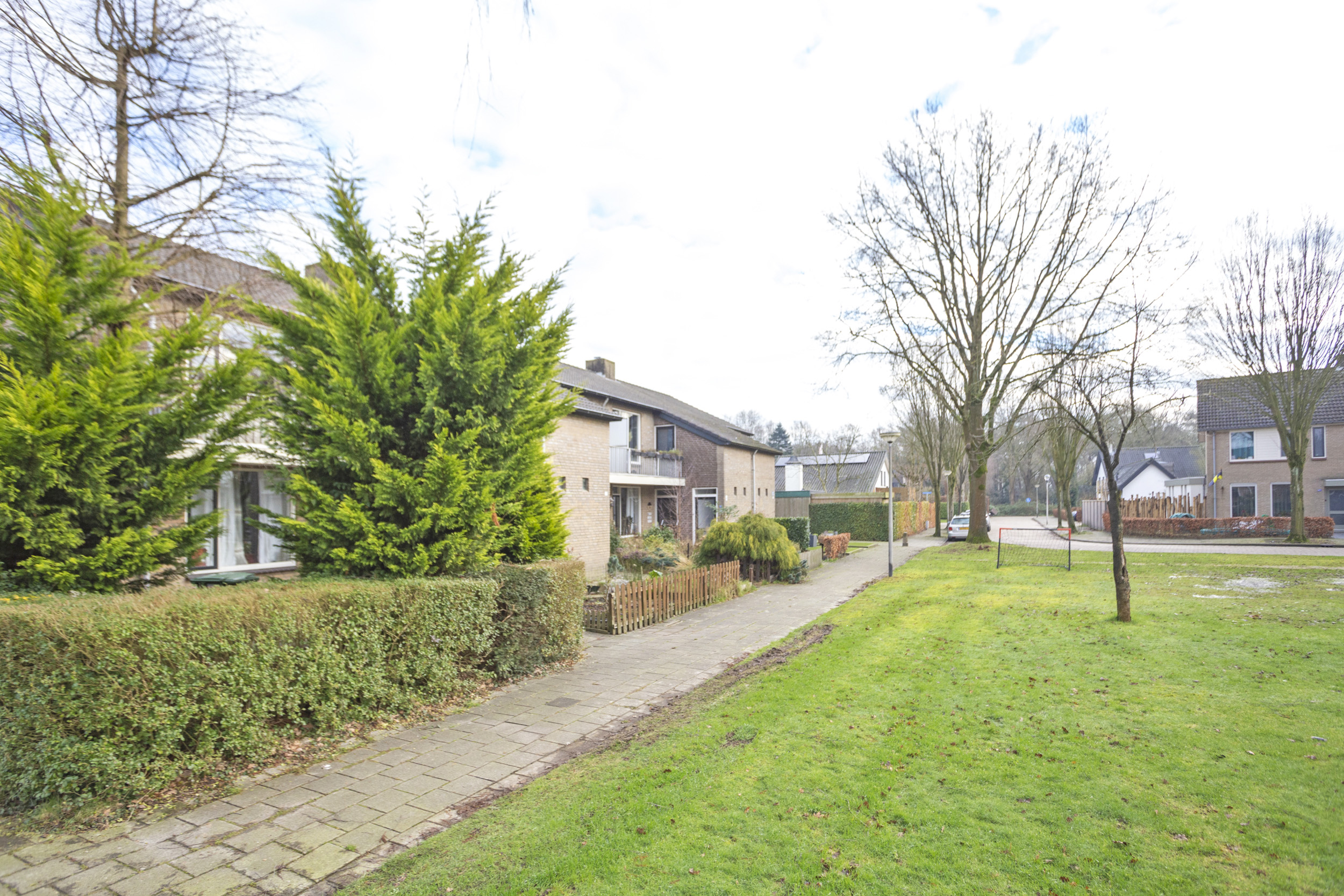 Wiek 29