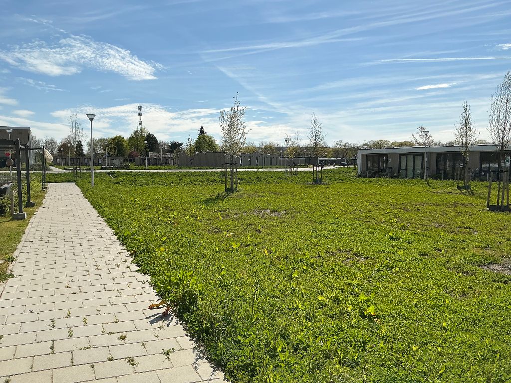 Veldbloemenhof 20