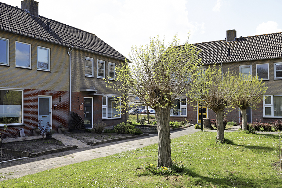 Hertogshoef 216