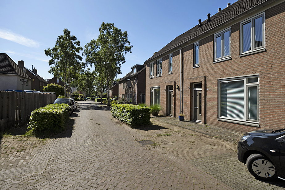 Steenland 39