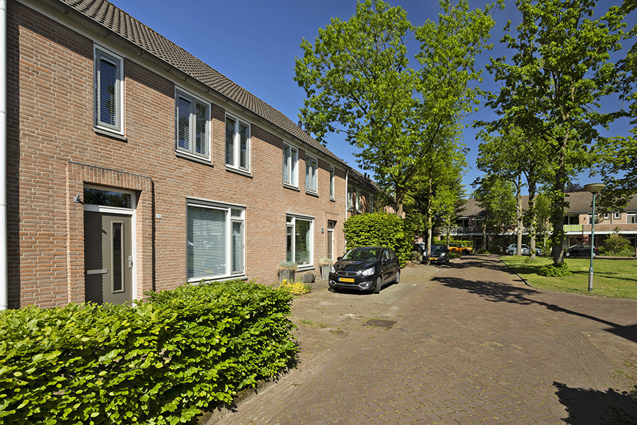Steenland 39