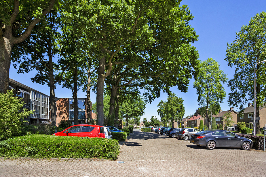 Zilverwiek 35