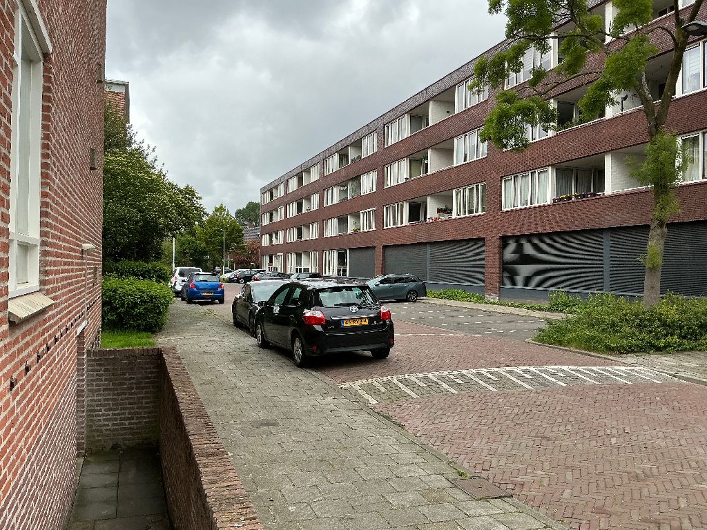 Bisonstraat 165