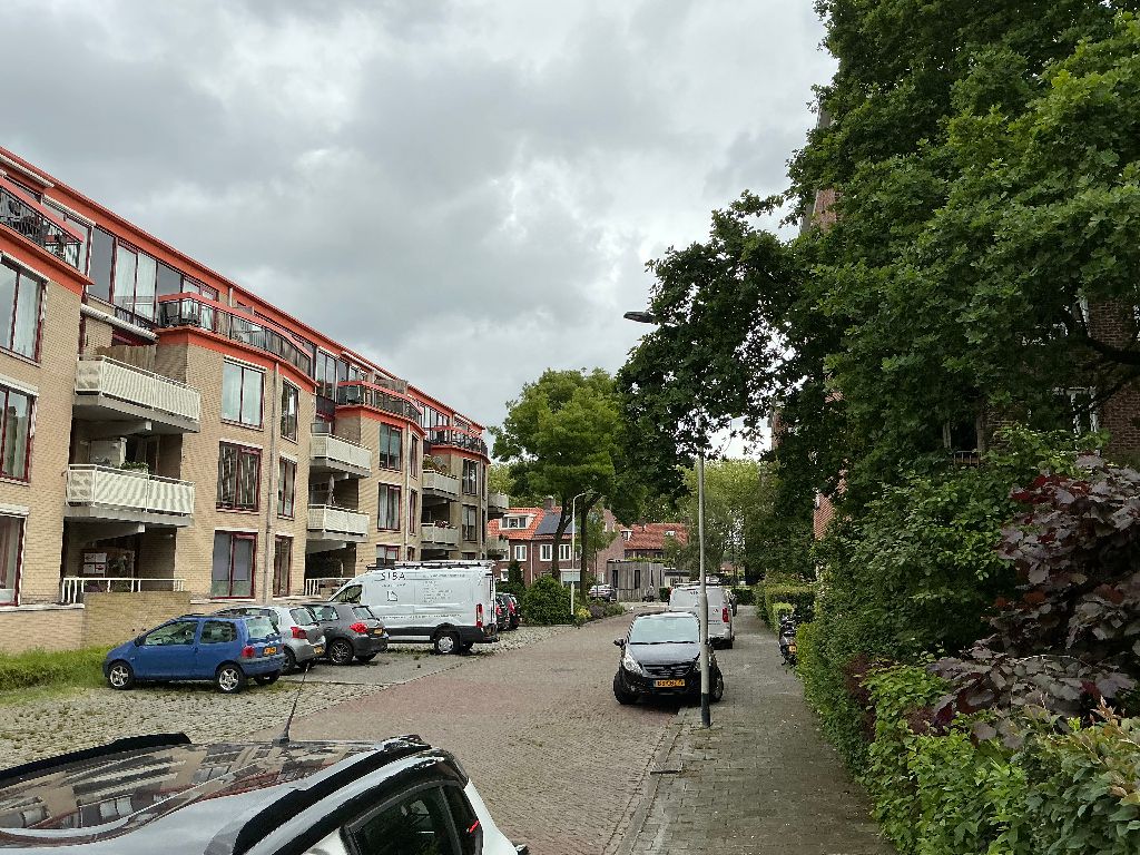 Bisonstraat 165