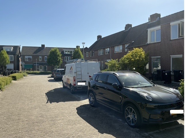 Roerdomp 142