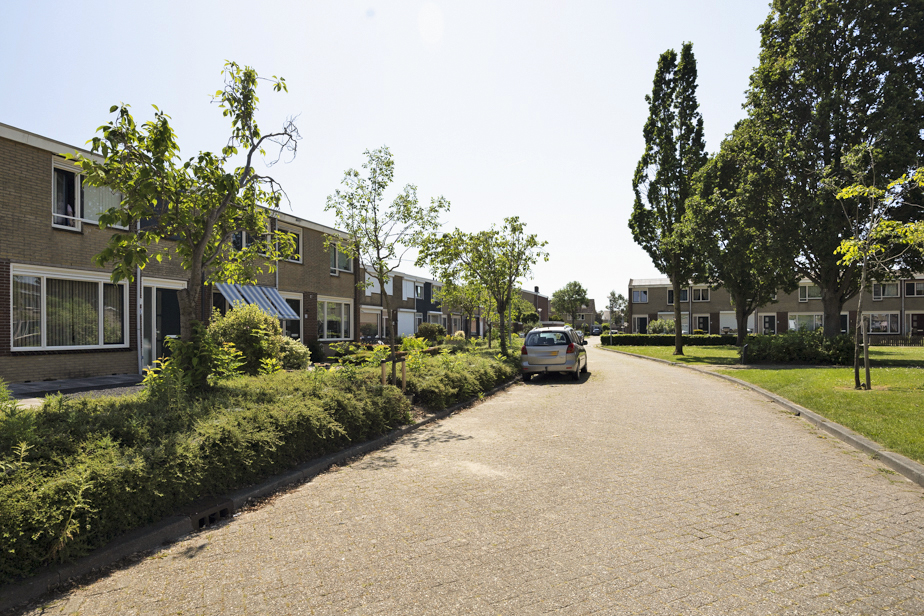 Bouwensland 20