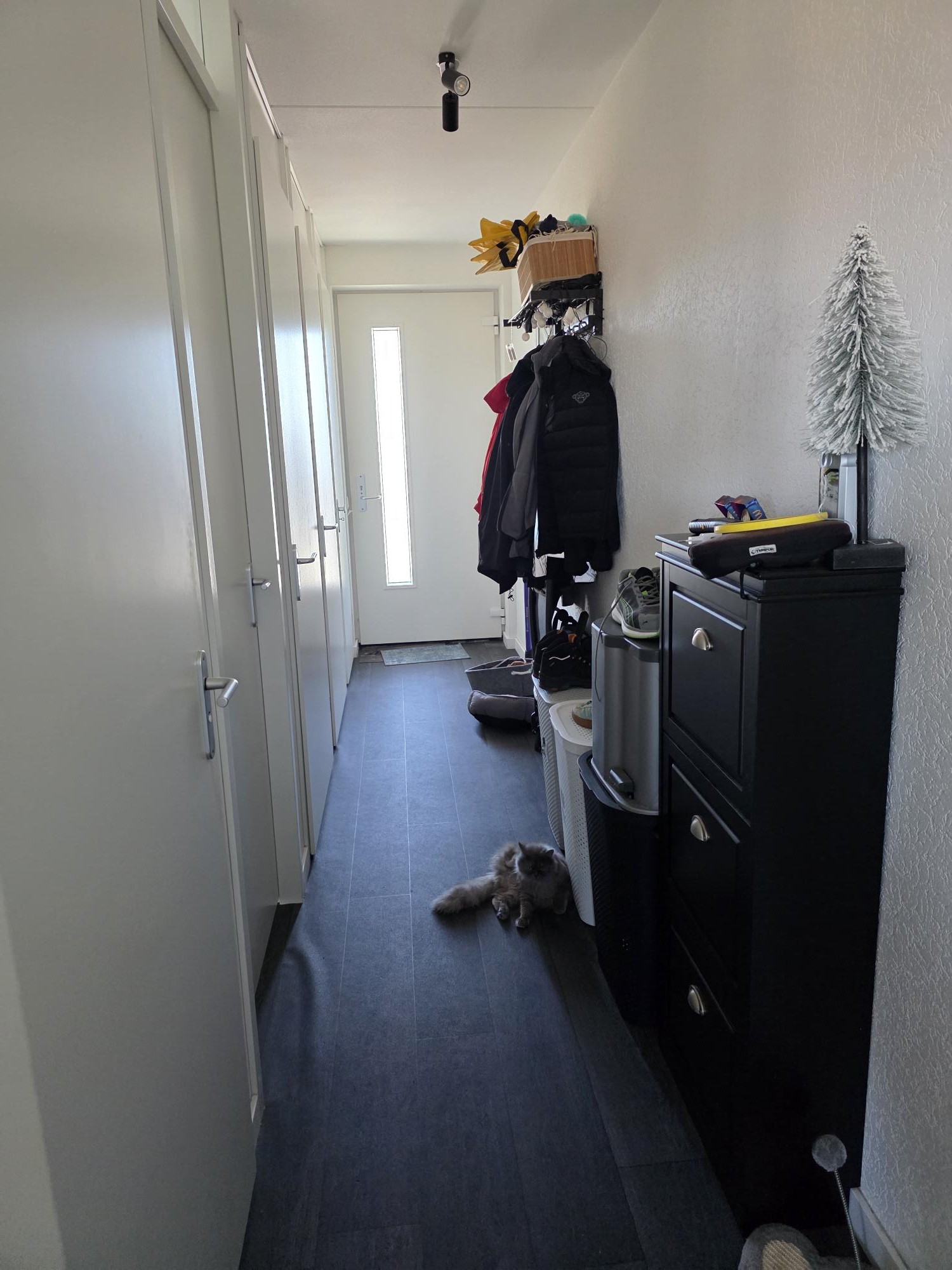Meidoornstraat 105