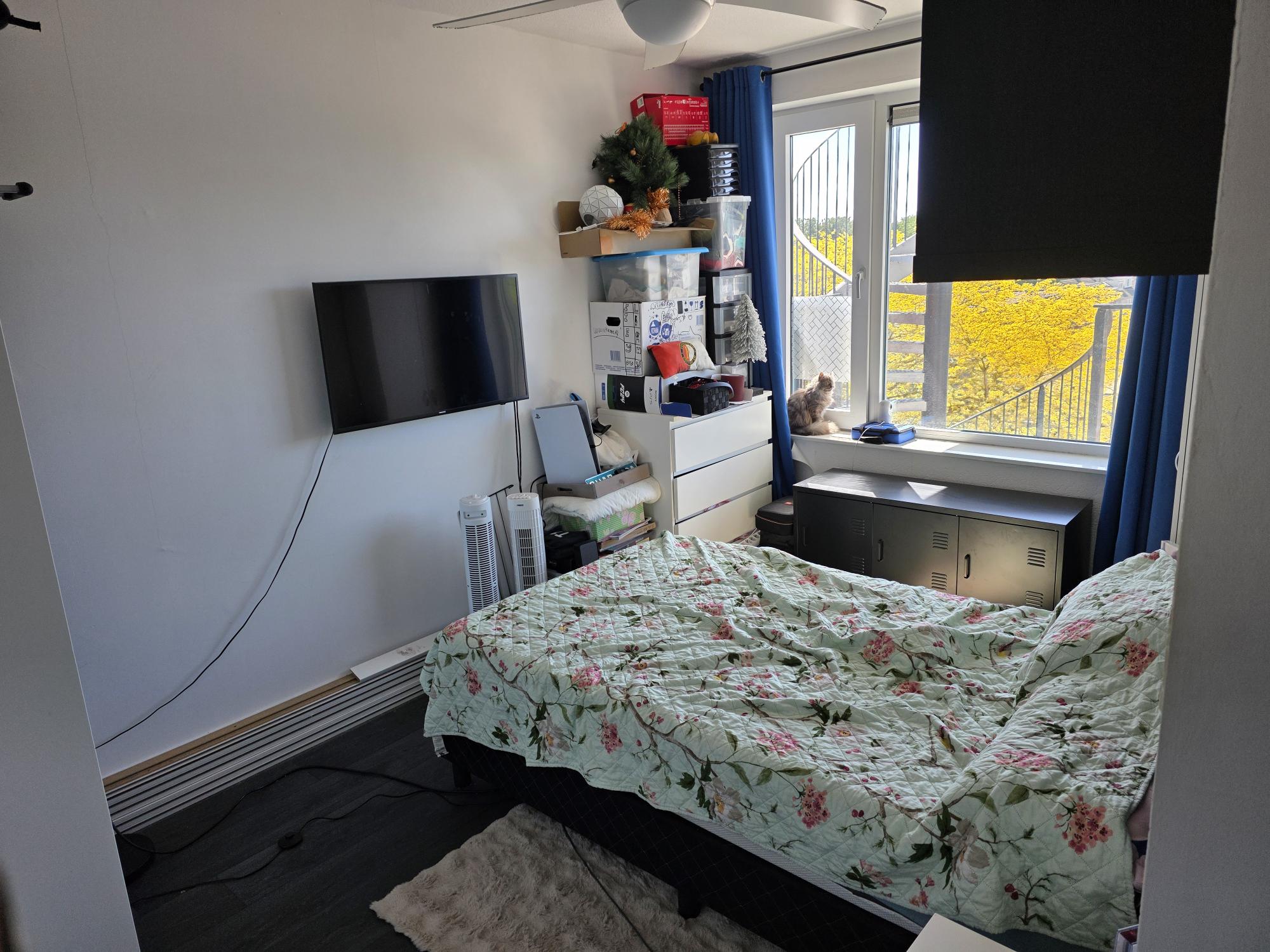 Meidoornstraat 105