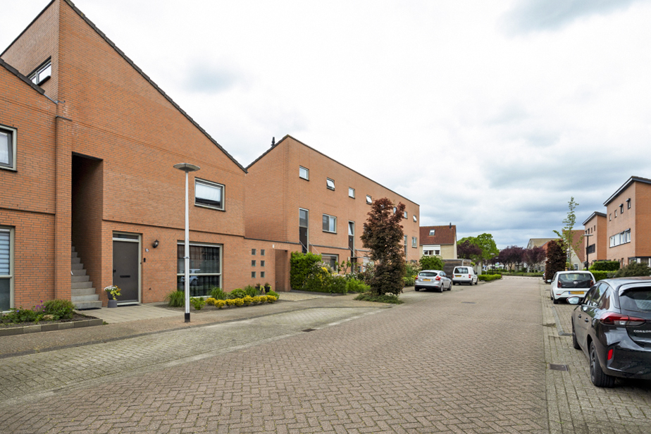 Zwaantjes 15