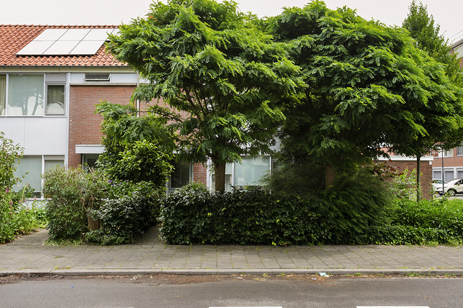 Muiderslotstraat 193, 4834 KN Breda, Nederland