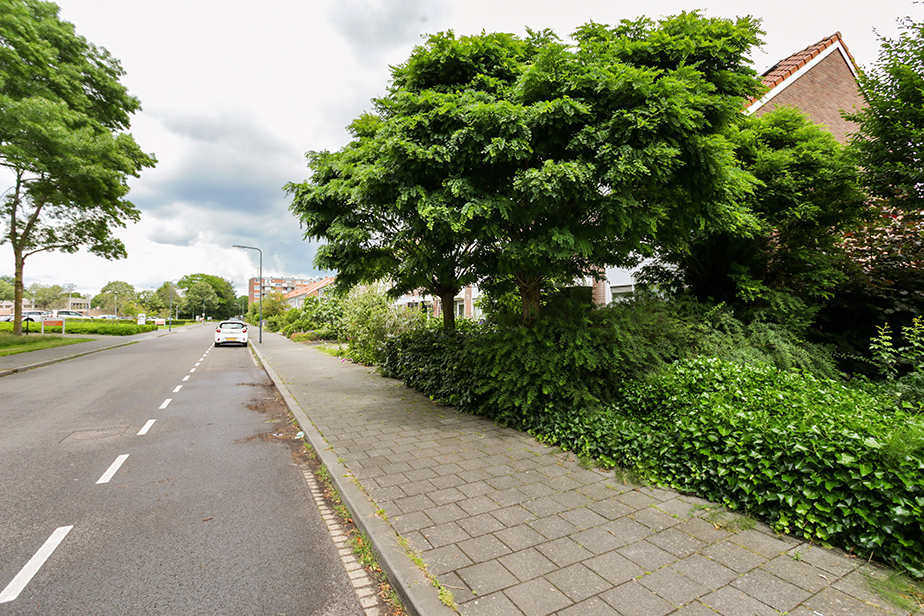 Muiderslotstraat 193
