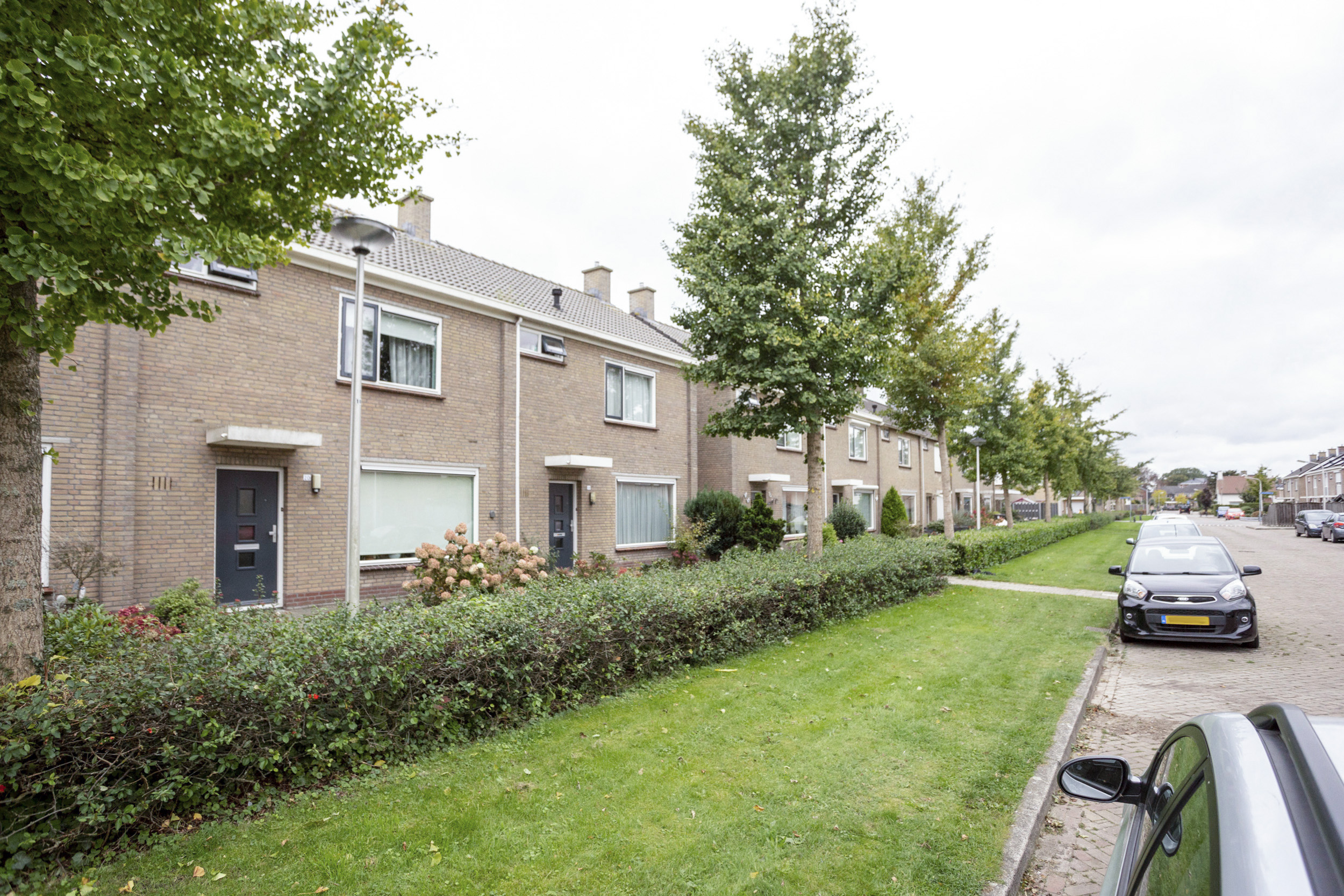 Nicolaas Maesstraat 20
