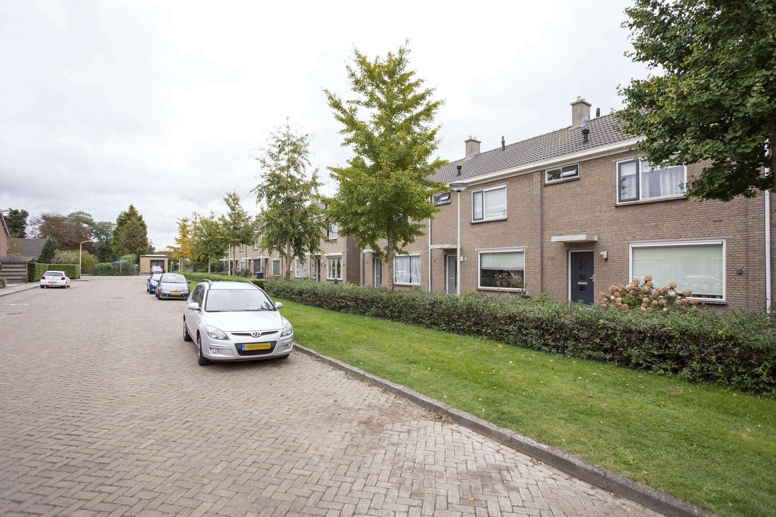 Nicolaas Maesstraat 20