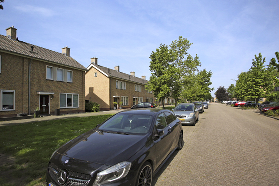 Anemoonlaan 31